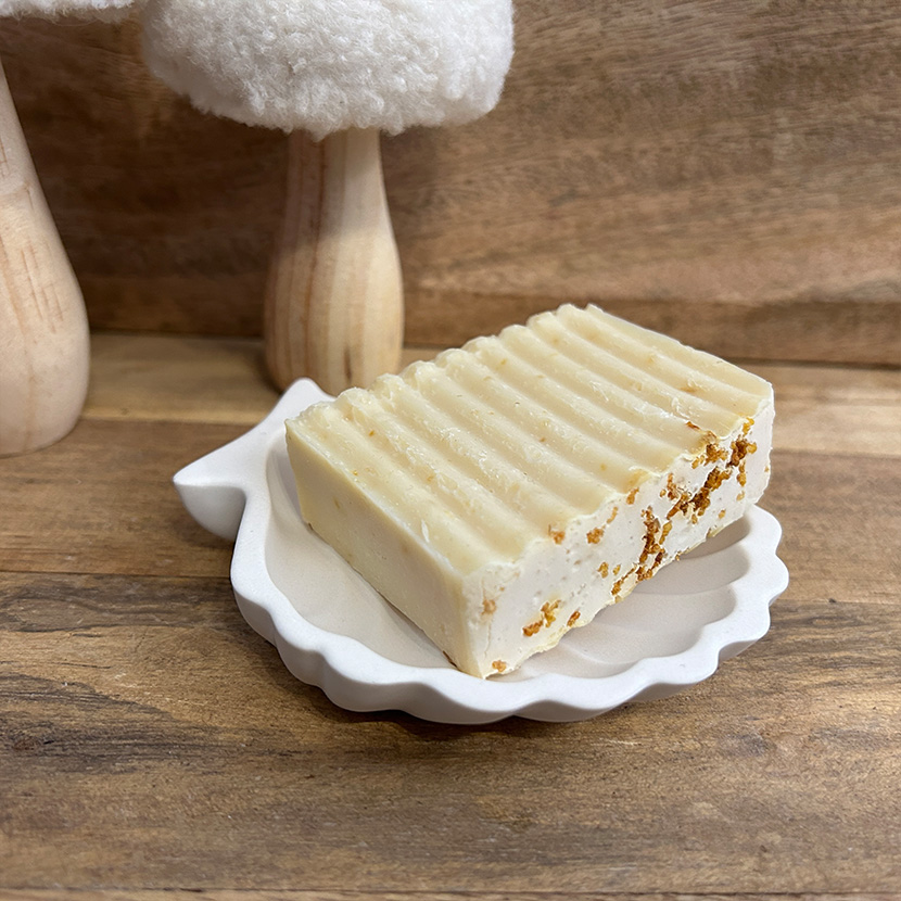 Muschel-Schale – Bild 2