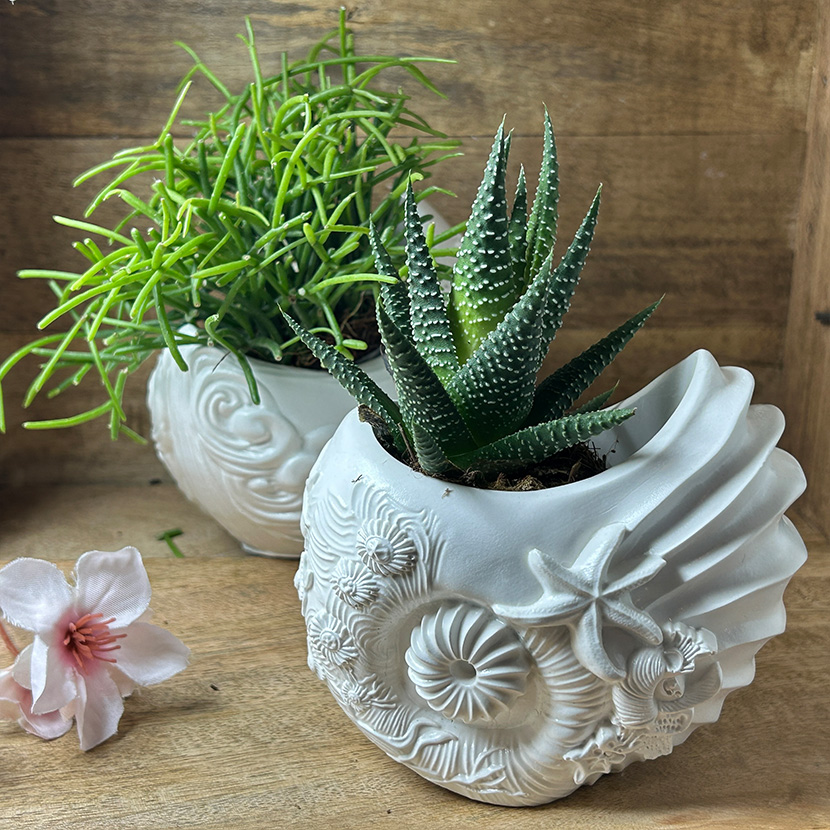 Zwei handgefertigte Schalen aus weißer Gießkeramik in Muschel- und Sternoptik mit maritimen Details